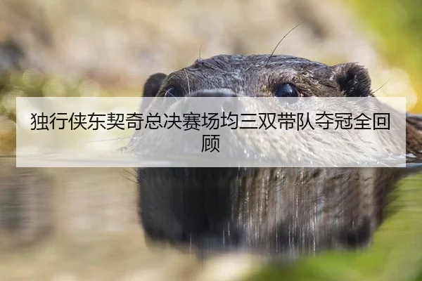 独行侠东契奇总决赛场均三双带队夺冠全回顾