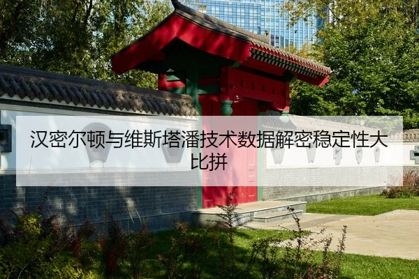 汉密尔顿与维斯塔潘技术数据解密稳定性大比拼